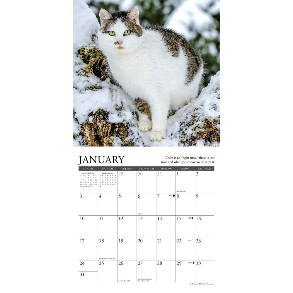 Cats What Cats Teach Us 2027 Mini Wall Calendar Second Alternate Image