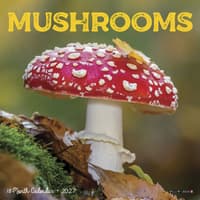 image Mushrooms 2027 Mini Wall Calendar Main Product Image