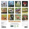 image Mushrooms 2027 Mini Wall Calendar First Alternate Image