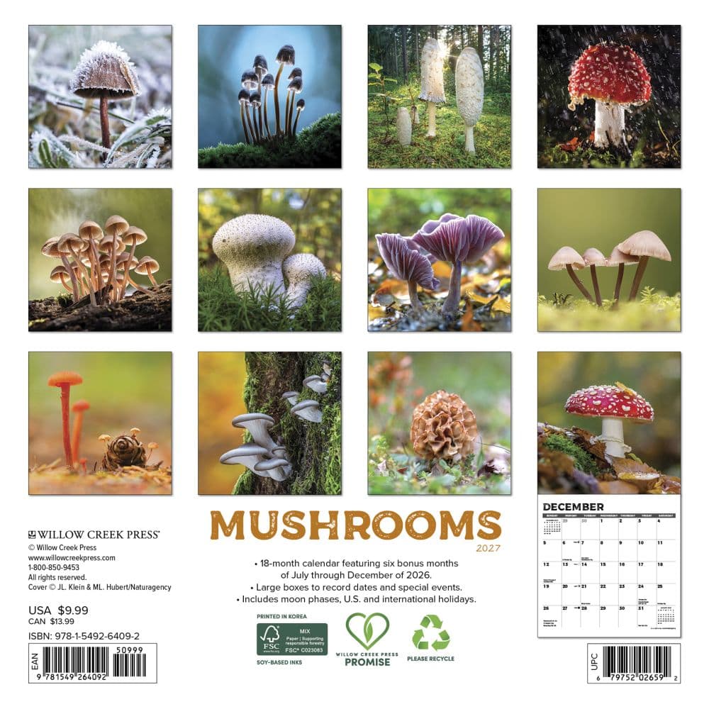 Mushrooms 2027 Mini Wall Calendar First Alternate Image