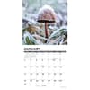 image Mushrooms 2027 Mini Wall Calendar Second Alternate Image