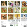 image Just Goldens 2027 Mini Wall Calendar First Alternate Image