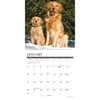image Just Goldens 2027 Mini Wall Calendar Second Alternate Image