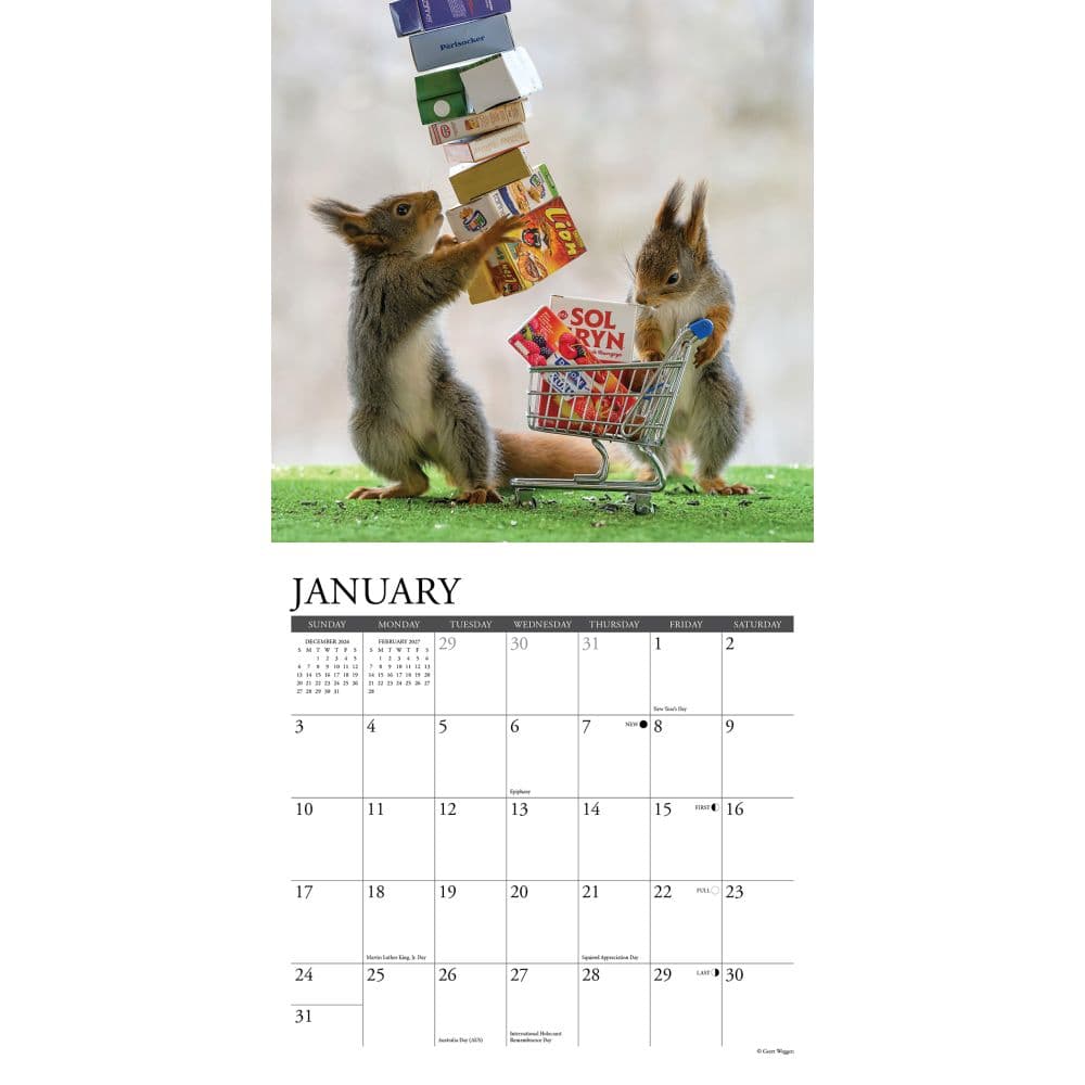Gettin Squirrelly 2027 Mini Wall Calendar Second Alternate Image