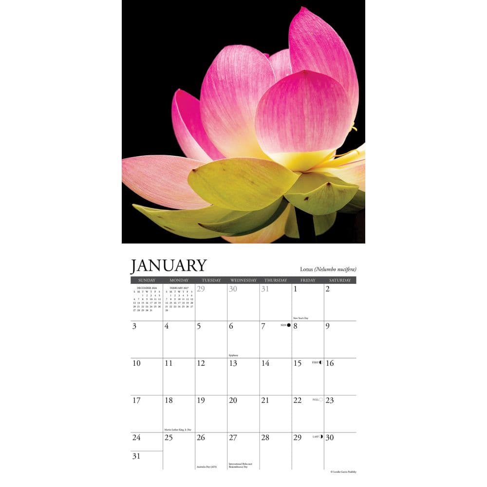 Flowers 2027 Mini Wall Calendar Second Alternate Image
