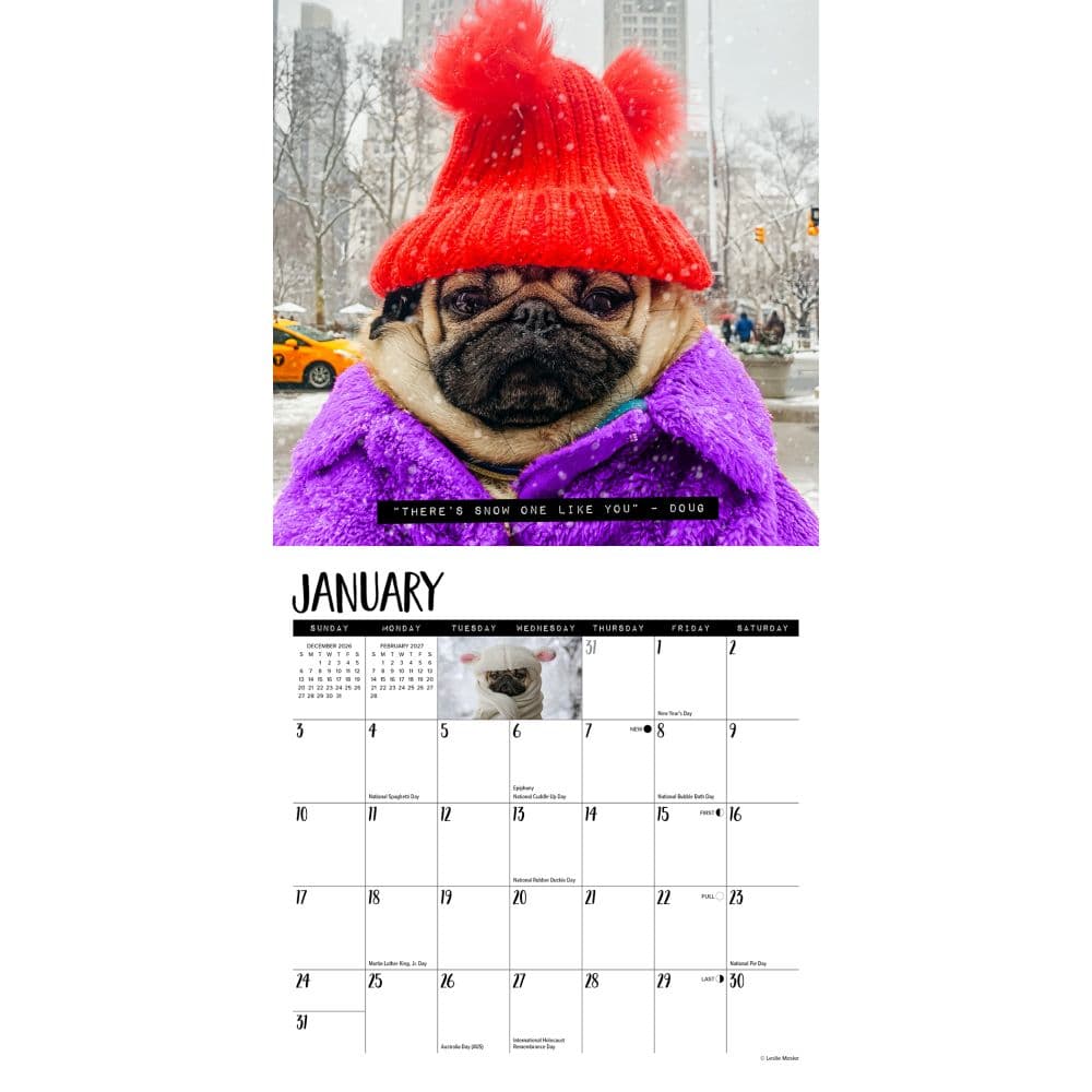 Doug the Pug 2027 Mini Wall Calendar Second Alternate Image