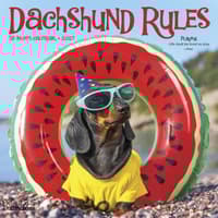image Dachshund Rules 2027 Mini Wall Calendar Main Product Image
