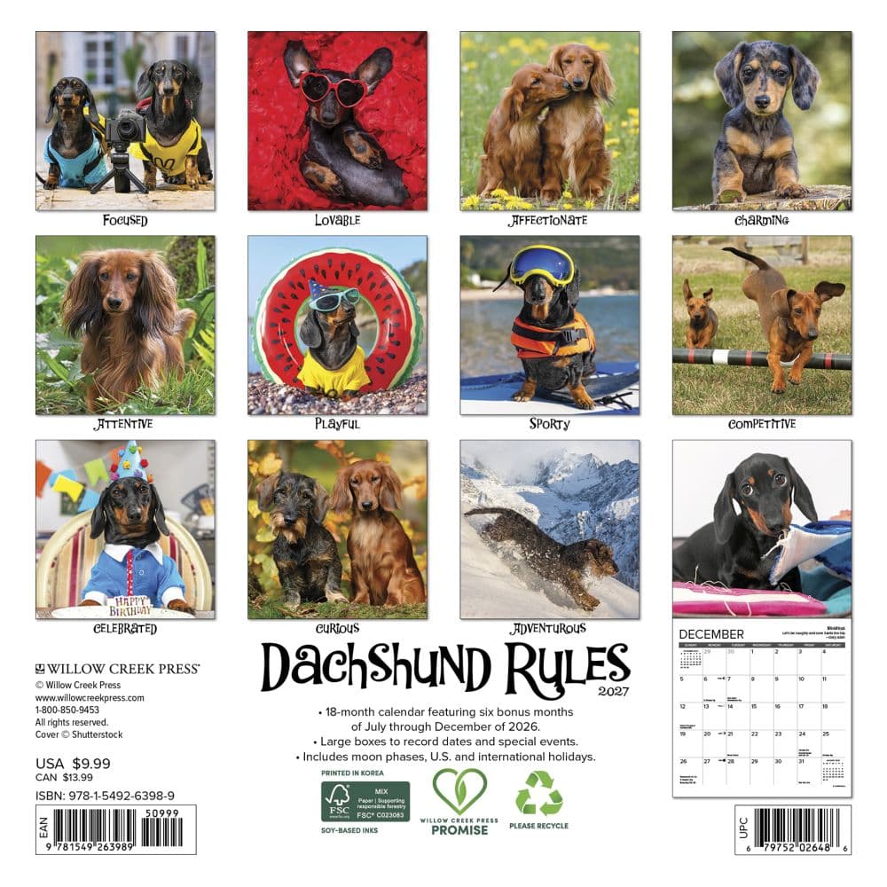 Dachshund Rules 2027 Mini Wall Calendar First Alternate Image