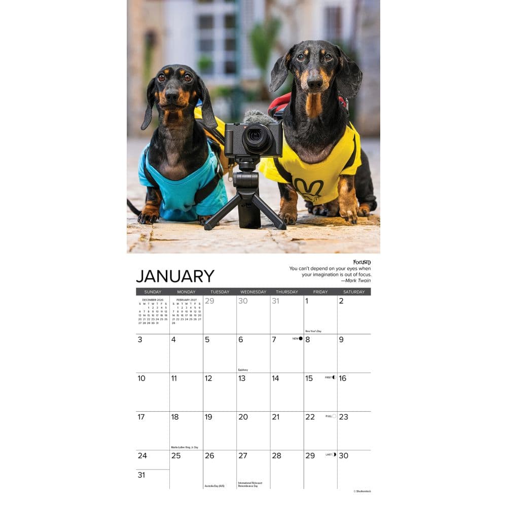 Dachshund Rules 2027 Mini Wall Calendar Second Alternate Image