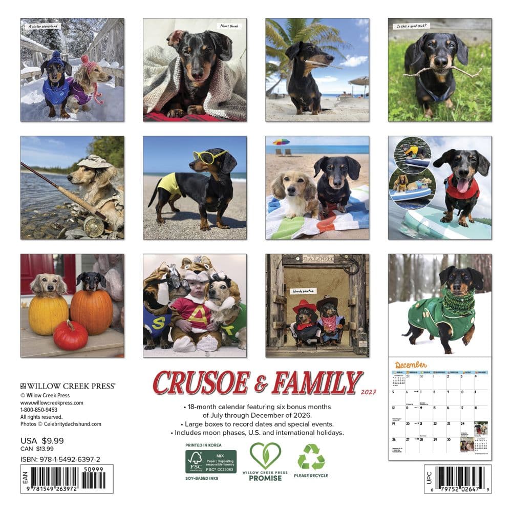 Crusoe the Celebrity Dachshund 2027 Mini Wall Calendar First Alternate Image