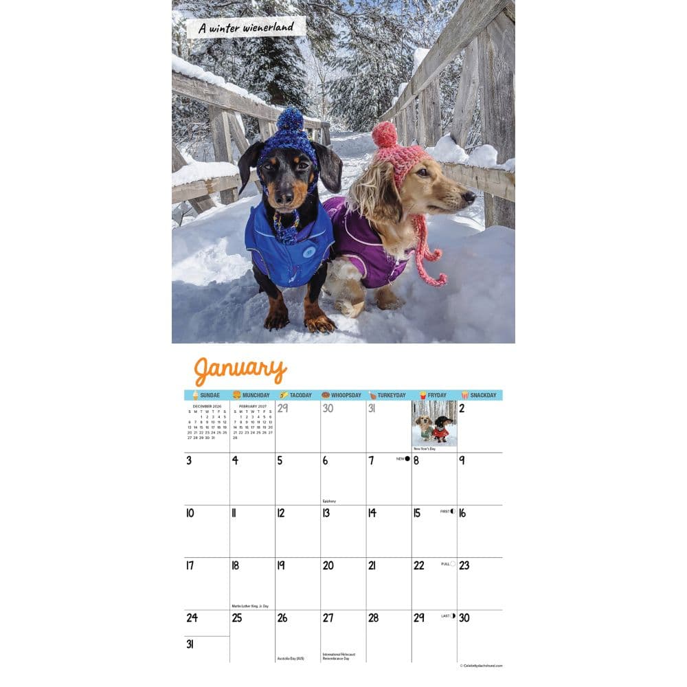 Crusoe the Celebrity Dachshund 2027 Mini Wall Calendar Second Alternate Image