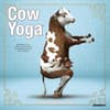 image Cow Yoga 2027 Mini Wall Calendar Main Product Image