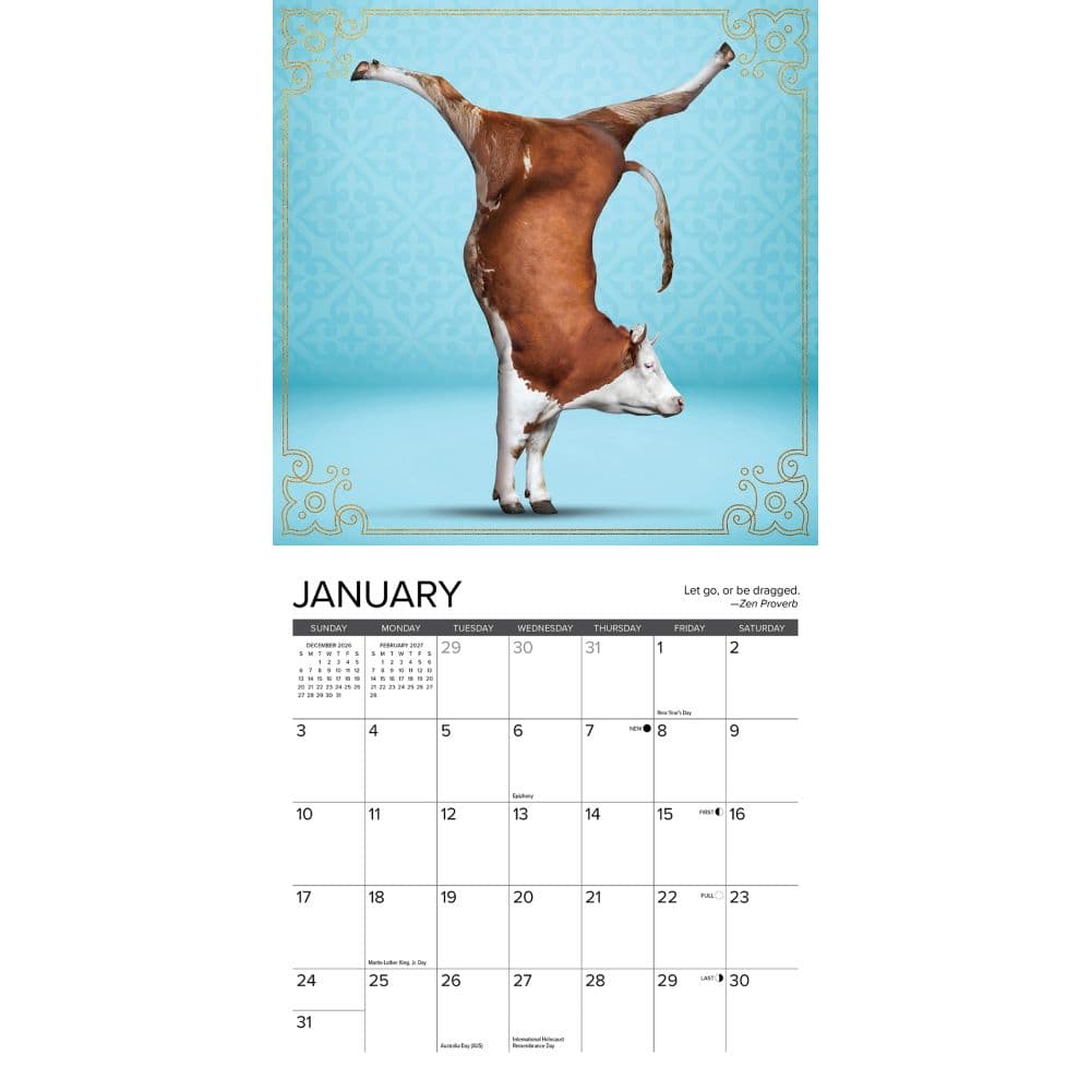 Cow Yoga 2027 Mini Wall Calendar Second Alternate Image