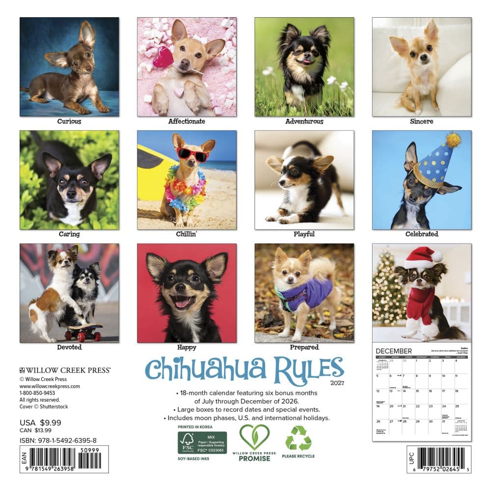 Chihuahua Rules 2027 Mini Wall Calendar First Alternate Image