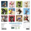 image Chihuahua Rules 2027 Mini Wall Calendar First Alternate Image