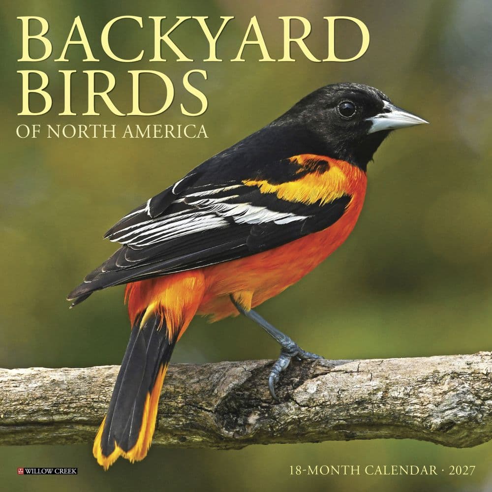 Backyard Birds 2027 Mini Wall Calendar Main Product Image