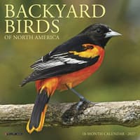 image Backyard Birds 2027 Mini Wall Calendar Main Product Image