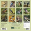 image Backyard Birds 2027 Mini Wall Calendar First Alternate Image