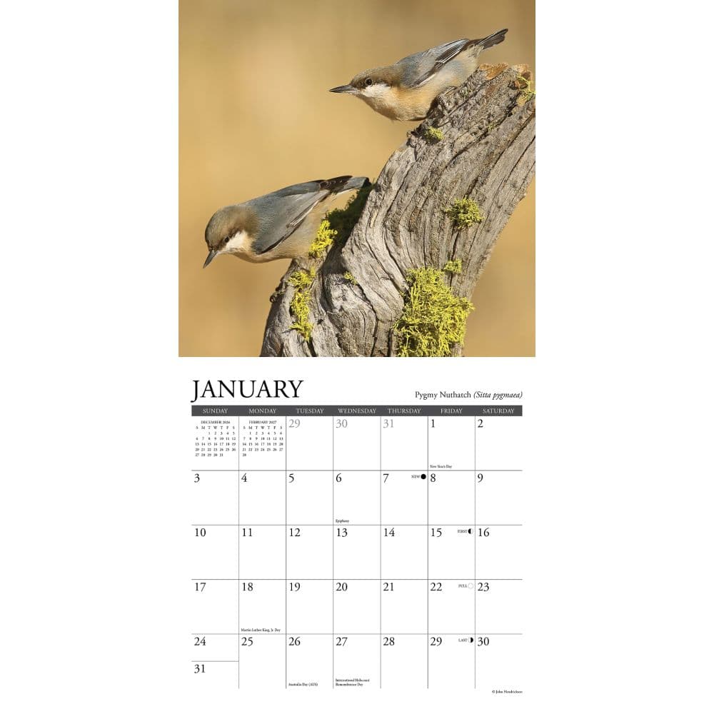 Backyard Birds 2027 Mini Wall Calendar Second Alternate Image