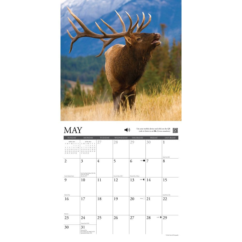 Call of the Wild 2027 Wall Calendar Second Alternate Image