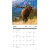 image Call of the Wild 2027 Wall Calendar Second Alternate Image