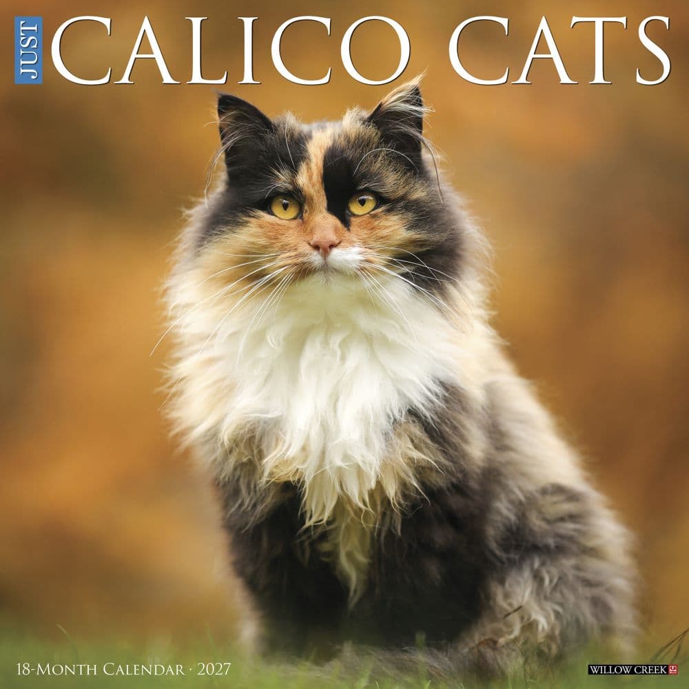 Calico Cats 2027 Wall Calendar Main Product Image