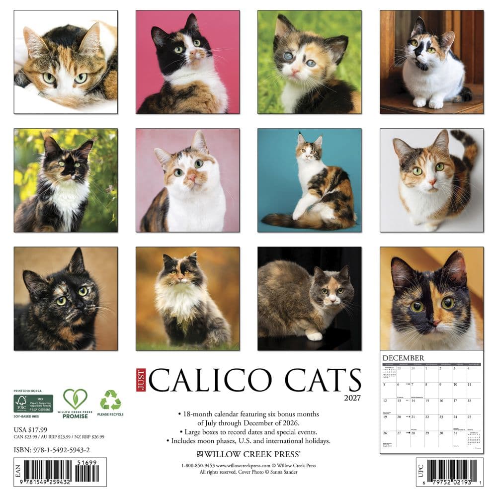Calico Cats 2027 Wall Calendar First Alternate Image