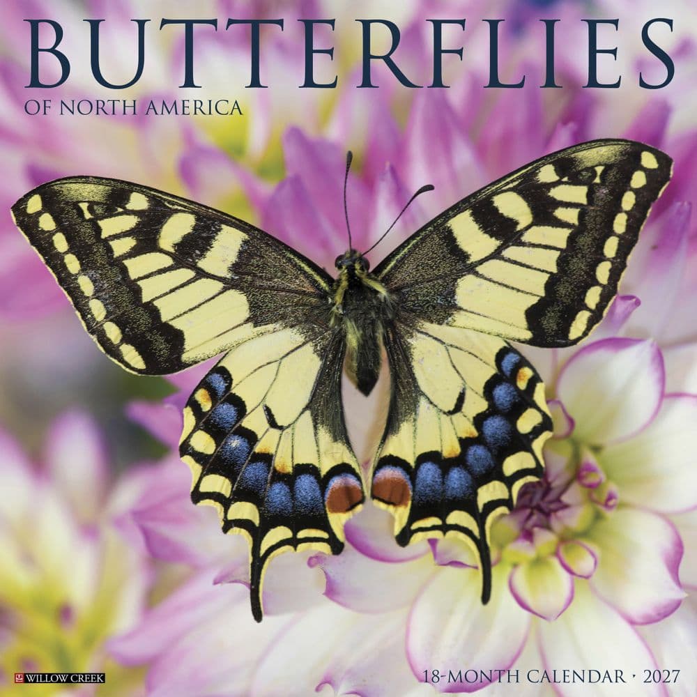 Butterflies 2027 Wall Calendar Main Product Image