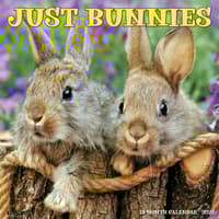 image Just Bunnies 2027 Wall Calendar Main Product Image