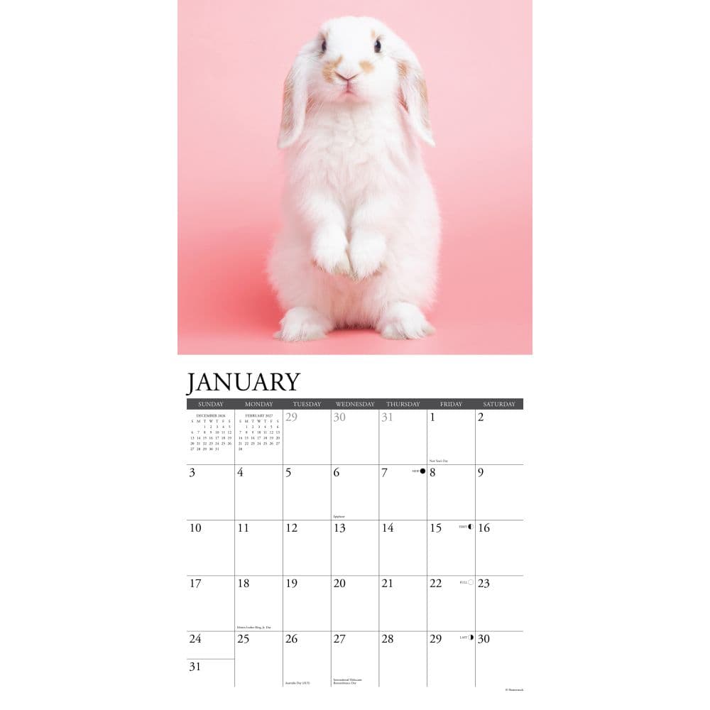 Just Bunnies 2027 Wall Calendar Second Alternate Image