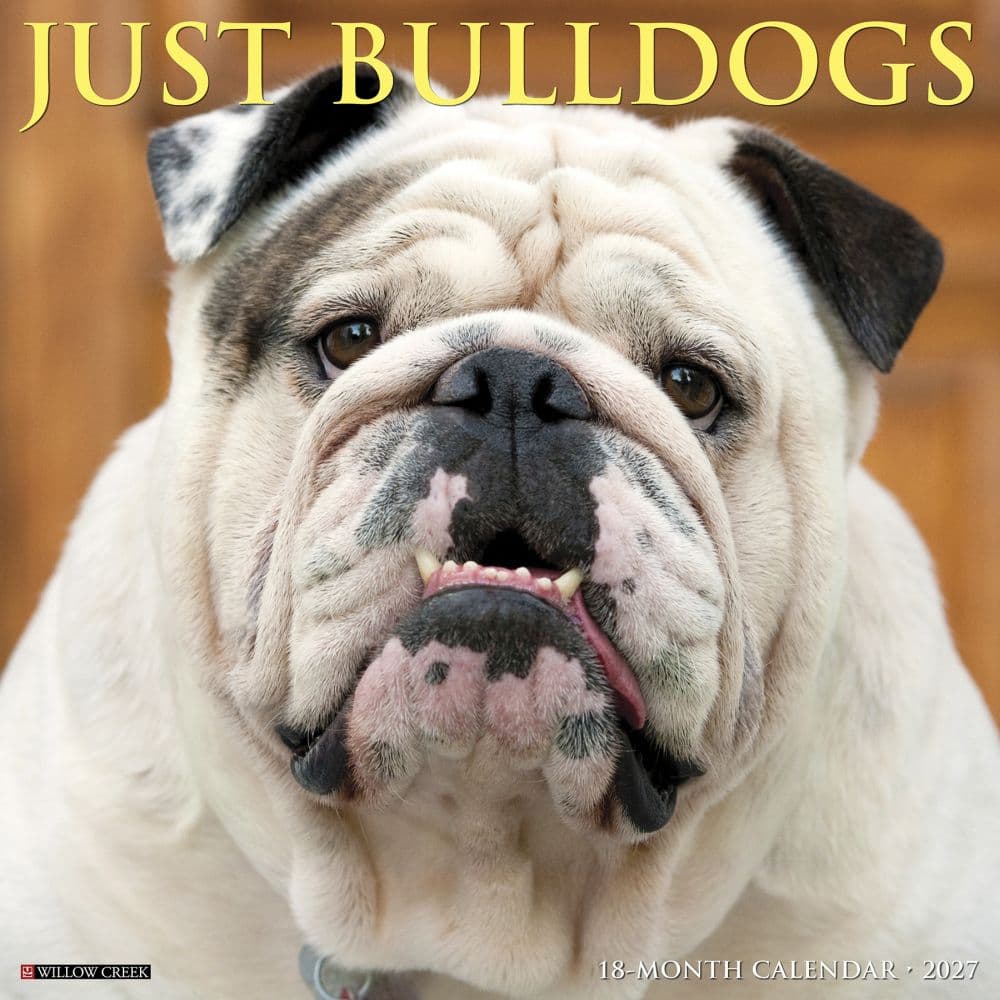 Just Bulldogs 2027 Wall Calendar Main Product Image