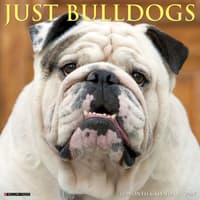 image Just Bulldogs 2027 Wall Calendar Main Product Image