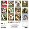 image Just Bulldogs 2027 Wall Calendar First Alternate Image