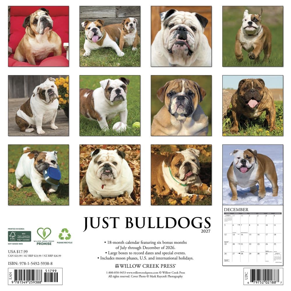 Just Bulldogs 2027 Wall Calendar First Alternate Image