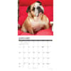 image Just Bulldogs 2027 Wall Calendar Second Alternate Image