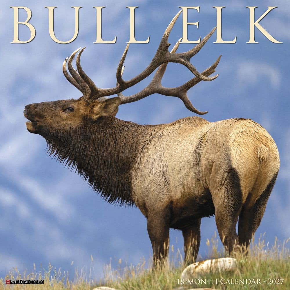 Elk Bull 2027 Wall Calendar Main Product Image