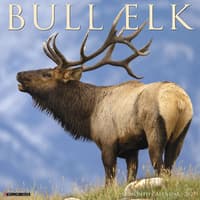 image Elk Bull 2027 Wall Calendar Main Product Image