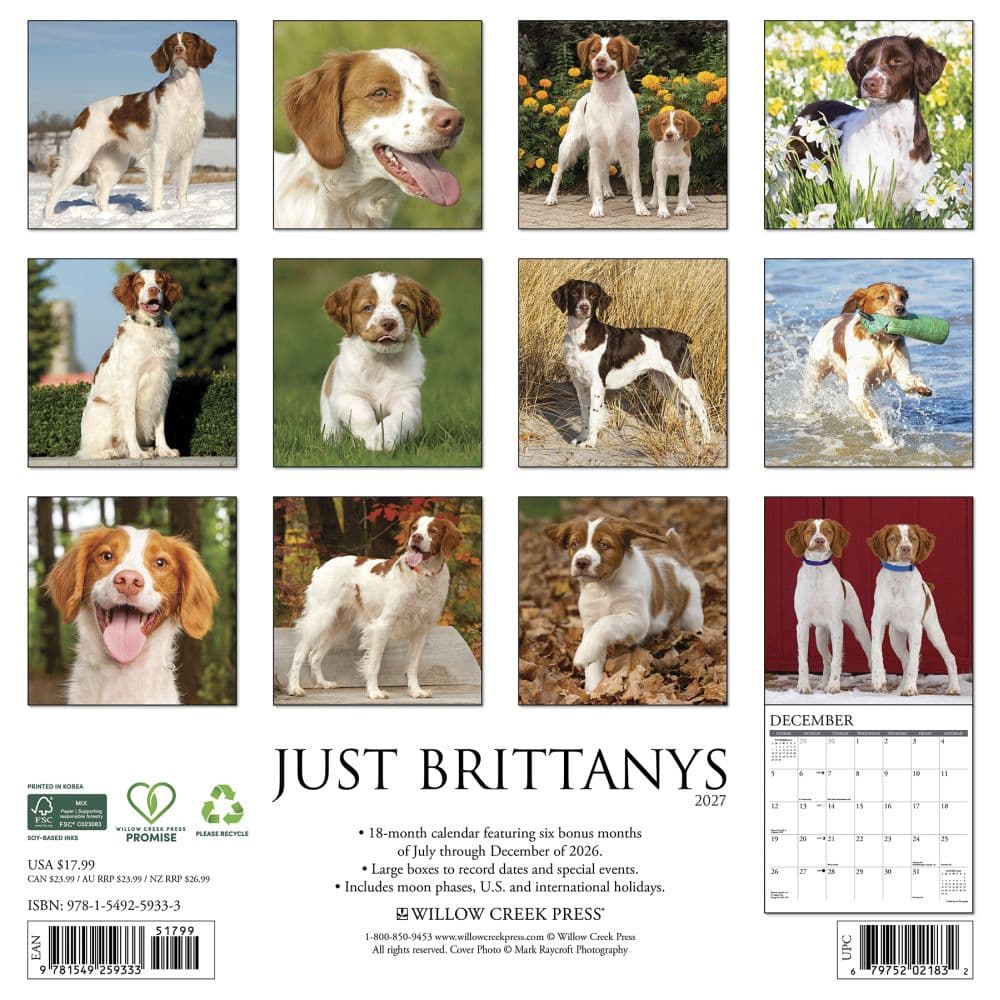 Just Brittanys 2027 Wall Calendar First Alternate Image