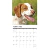 image Just Brittanys 2027 Wall Calendar Second Alternate Image