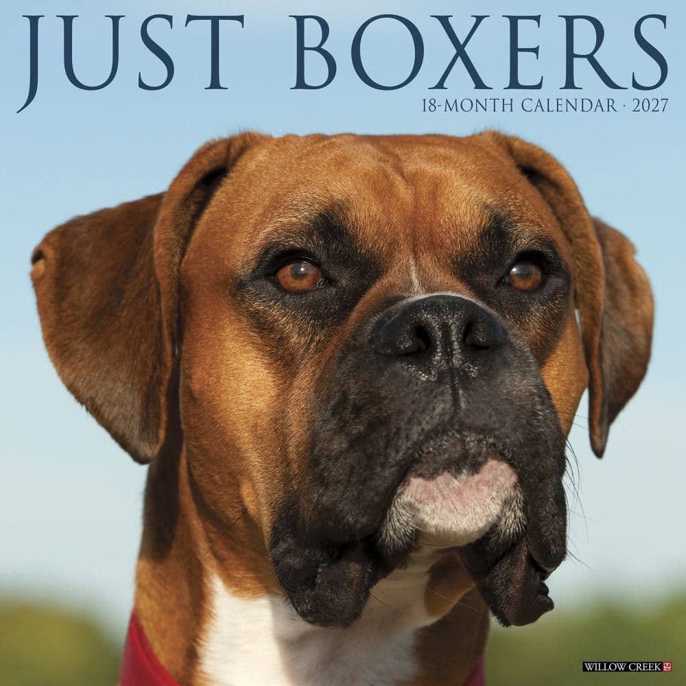 Just Boxers 2027 Wall Calendar Main Product Image