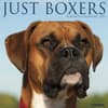 image Just Boxers 2027 Wall Calendar Main Product Image