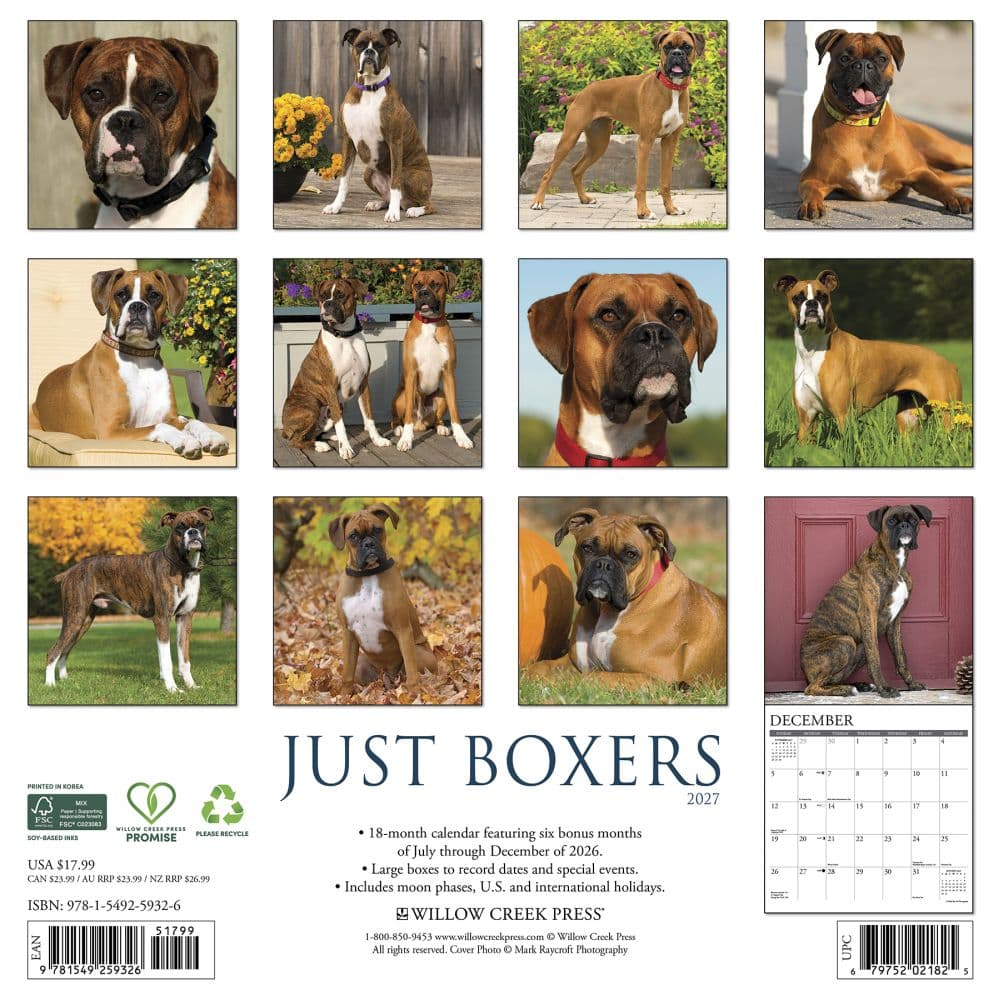 Just Boxers 2027 Wall Calendar First Alternate Image