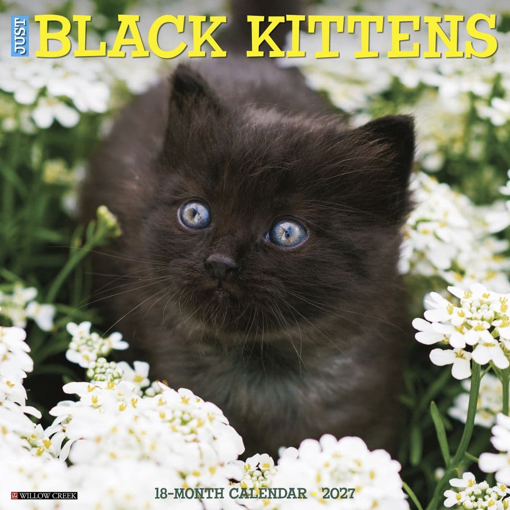 Black Kitties 2027 Wall Calendar Main Product Image