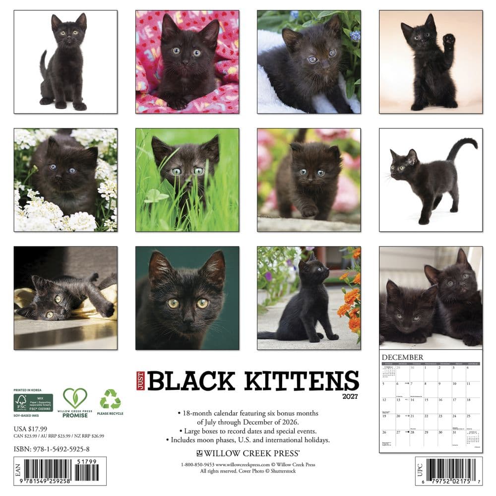 Black Kitties 2027 Wall Calendar First Alternate Image
