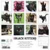 image Black Kitties 2027 Wall Calendar First Alternate Image
