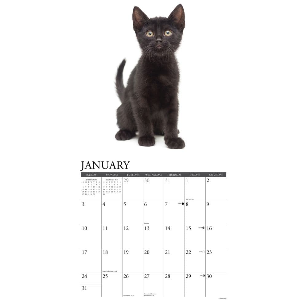 Black Kitties 2027 Wall Calendar Second Alternate Image