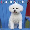 image Just Bichons Frises 2027 Wall Calendar Main Product Image
