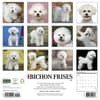 image Just Bichons Frises 2027 Wall Calendar First Alternate Image
