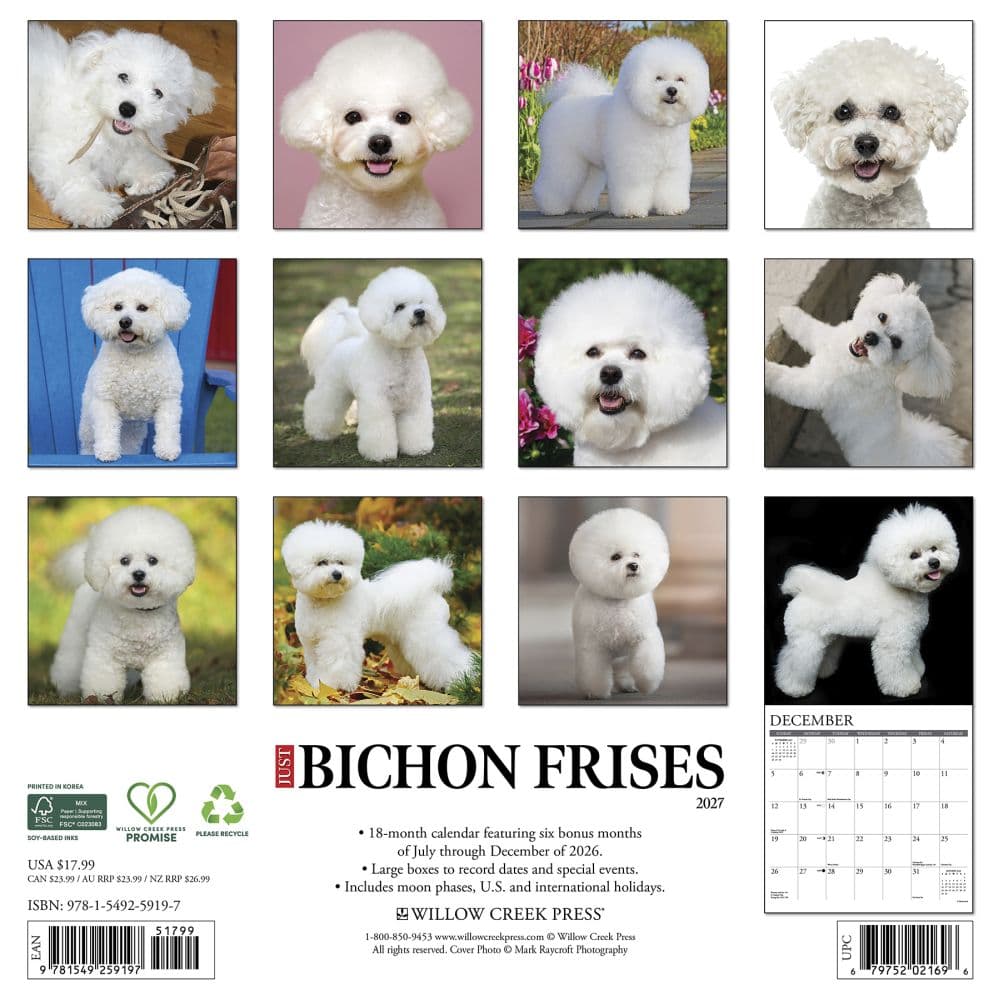 Just Bichons Frises 2027 Wall Calendar First Alternate Image