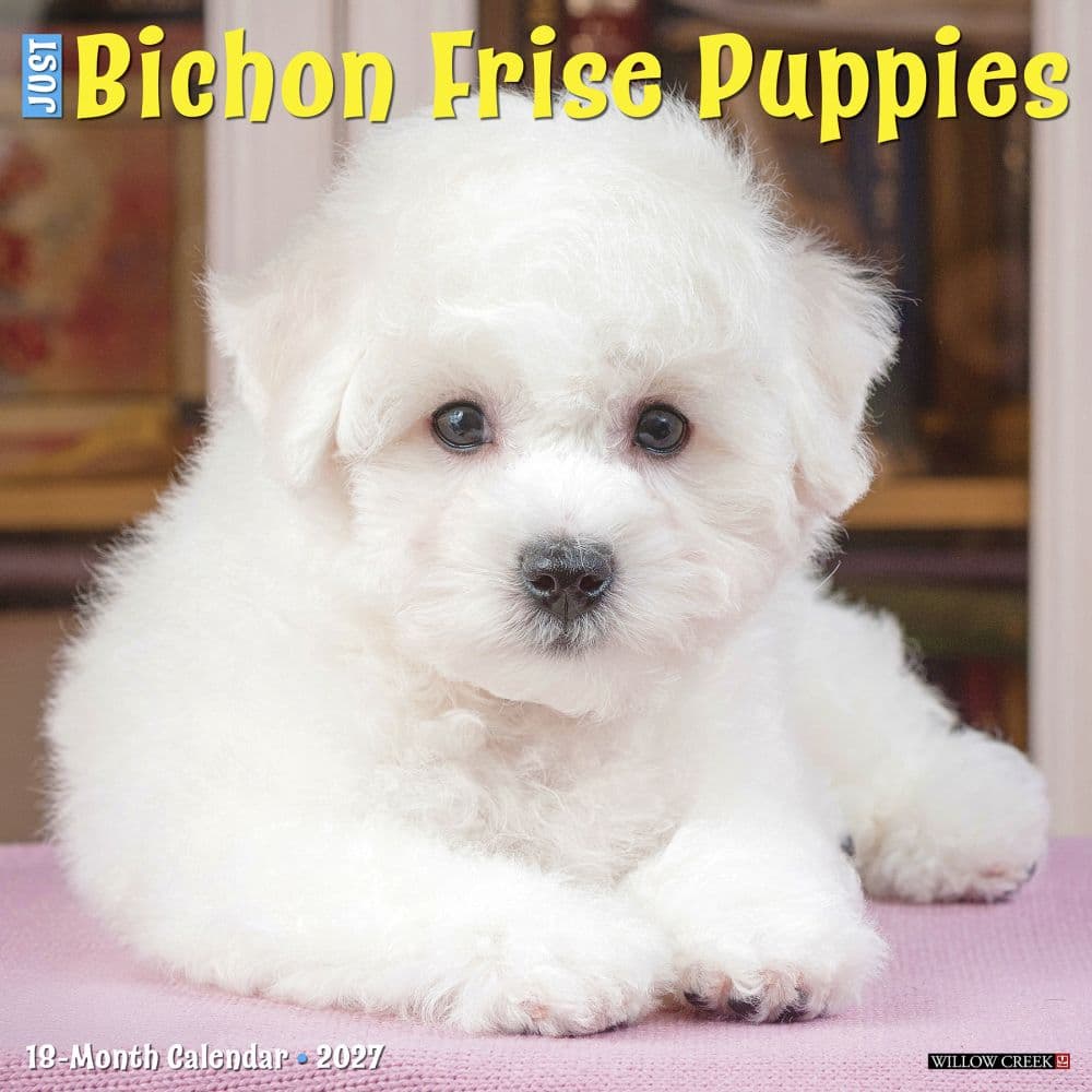 Just Bichon Frises Puppies 2027 Wall Calendar Main Product Image